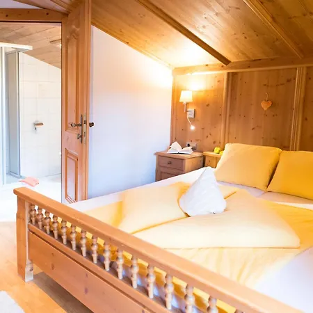 Apartment Aparthaus Hubertus Alpbach
