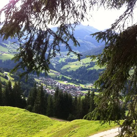 Aparthaus Hubertus Apartment Alpbach